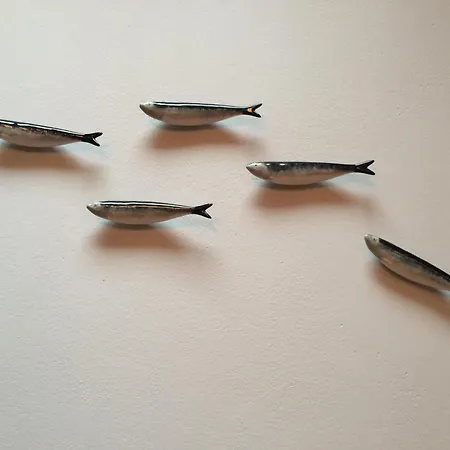 Sardinha Loft شقة