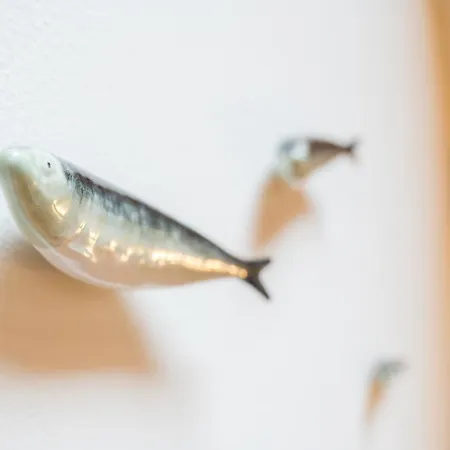 Sardinha Loft شقة