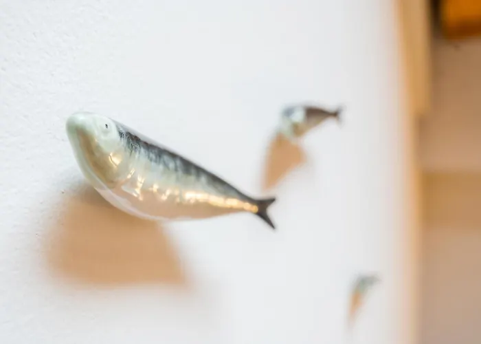 Sardinha Loft شقة